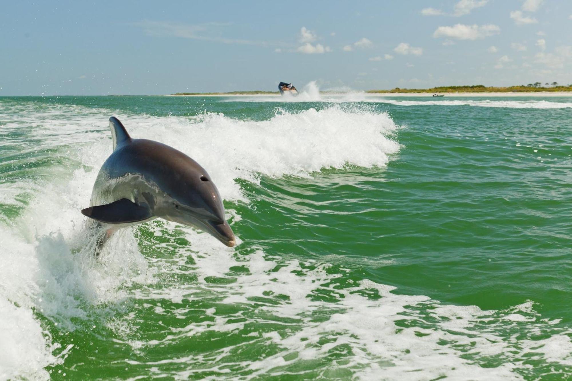 Holiday Inn & Suites Clearwater Beach S-Harbourside Esterno foto
